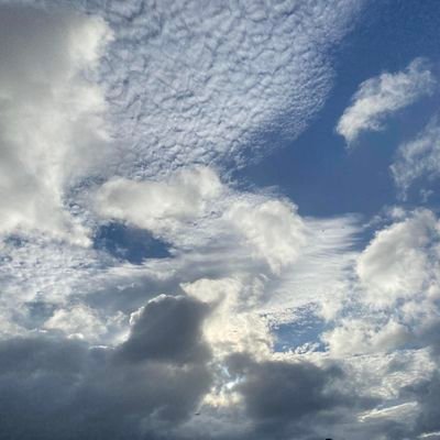 carl0959's profile picture. 