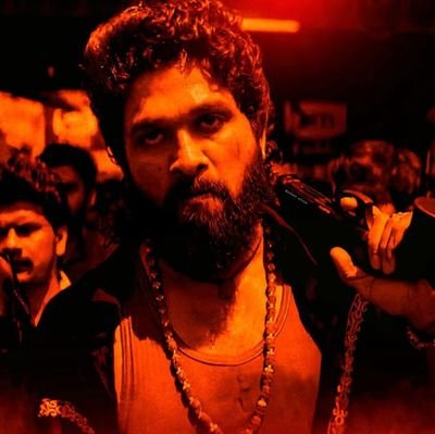 KVS_HARSHAV's profile picture. ntg