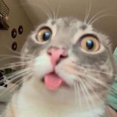 qqwwpp555's profile picture. 