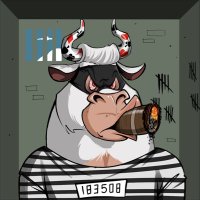 David Damperio (@dev_damp) 's Twitter Profile
