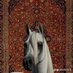 حموو✨🤍 (@mww778997585971) Twitter profile photo حموو✨🤍 (@mww778997585971) Twitter profile photo