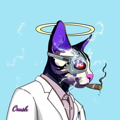 lzhqiqi's profile picture. 