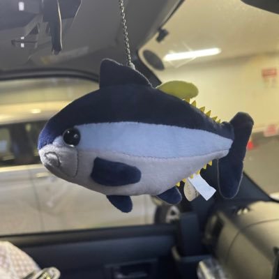 はじめまして🐟私は事業に失敗し、多額の負債を背負って都内で車上生活しています。事業失敗による負債の返済と今後の再出発の為、軽貨物事業で再起を図ります。マグロのように泳ぎを止めず、日々稼働している毎日を記録に残していこうと決めました。名の通り「ぼっち」です。そんな私ですが、どうぞ宜しくお願いします🙇