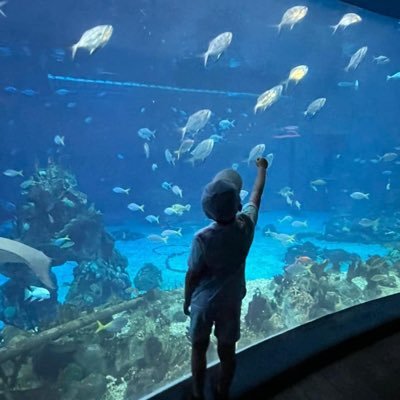 GillSavage4's profile picture. Dance, Jamie Dornan and Matt Bomer are my Favs