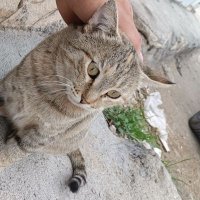 Armin (@armin7549671346) 's Twitter Profile