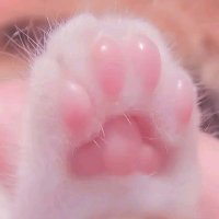 ᥴᥲ𝗍ᥲᥣᥣᥱᥒᥲ 🩷 (@yeppichany) 's Twitter Profile
