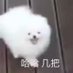几几 (@bopi00) Twitter profile photo 几几 (@bopi00) Twitter profile photo