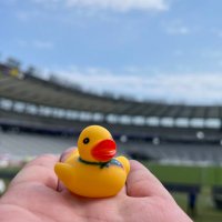 🐤Ponchan (@ponchantokyo) 's Twitter Profile Photo 🐤Ponchan (@ponchantokyo) 's Twitter Profile Photo