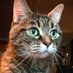 😺😸⚫️🔴🌕 (@strsssteme) Twitter profile photo 😺😸⚫️🔴🌕 (@strsssteme) Twitter profile photo