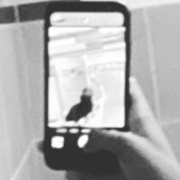K πΈπ½ (@mindofalibra01) 's Twitter Profile