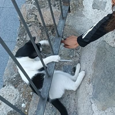 jhrndz__'s profile picture. {Ens heu robat els somnis i seguim a cada passa}