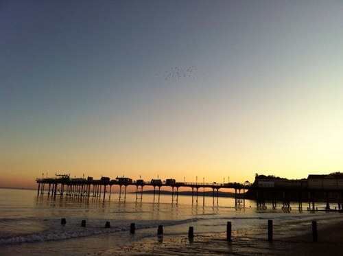 teignmorton's profile picture. 