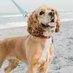 Susan Wilson (@wilsonsusa48462) Twitter profile photo Susan Wilson (@wilsonsusa48462) Twitter profile photo