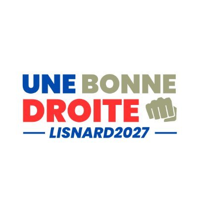 En l'attente d'un vrai représentant et du sursaut du pays.. Lisnard pour une #NouvelleÉnergie 🇲🇫 !
(Toutes les droites déposées ici sont métaphoriques 💭✌️)
