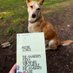 thisdogthinks (@thisdogcanthink) Twitter profile photo thisdogthinks (@thisdogcanthink) Twitter profile photo