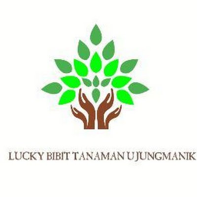 BibitLucky's profile picture. 