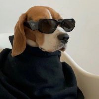 Superwoman (@unibase_io) Twitter profile photo