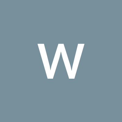 weiwei186354960's profile picture. 