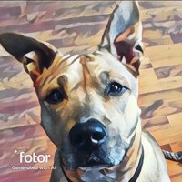 Stepping Stones (@stoopid_she) 's Twitter Profile Photo