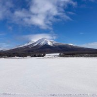 たびかま (@tabikama) 's Twitter Profile
