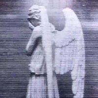 ipek (@silllllymonkey) 's Twitter Profile
