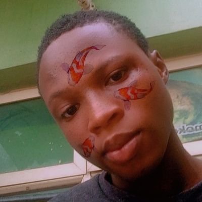 A ghostwriter if you need one
Follow me on IG @little_ad3n
And on tik tok @Adedahlittleboy
Trust wallet USDT acct - TUfPKx7nheumhouDPRoYD2mn524EL3LdHr