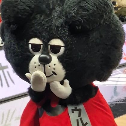 むつみさんのプロフィール画像