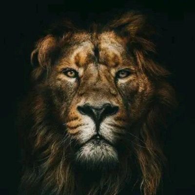 KaleabShew27310's profile picture.