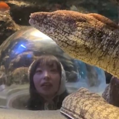 okrkmmk's profile picture. 吉本興業２年目/ NSC東京29期 / 「お気楽」は「阿佐ヶ谷」の発音です！