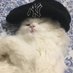 BennyBooboo (@bennyboobo29511) Twitter profile photo BennyBooboo (@bennyboobo29511) Twitter profile photo