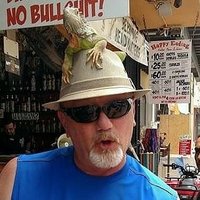 Rotorhead (@jeffgdman61) 's Twitter Profile Photo
