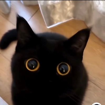 ane1762076's profile picture. BDSM，纽约 Ithaca，01年男大，switch偏S/Dom