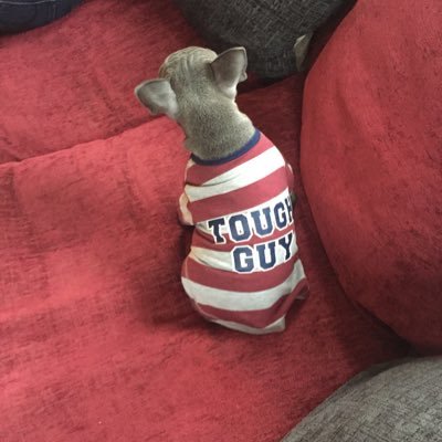 fan of #mufc England's most successful football club of all time.. #greenandgolduntiltheclubissold #glazersout