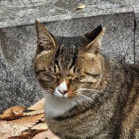 gu14 (@gu14_won) 's Twitter Profile Photo