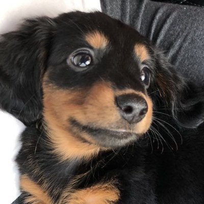 ibelieve1canfry's profile picture. 원필🫶🏻 24.09.21~