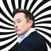 Musk is weird (@sueleaky) Twitter profile photo Musk is weird (@sueleaky) Twitter profile photo
