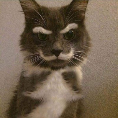 Adpocalyptic's profile picture. I can pronounce "Neuropsychopharmacology" ...and also "Strategic Flatulence" 👍