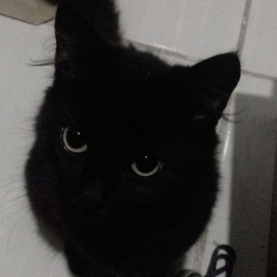 novahues's profile picture. 독서 커뮤 앱 운영 중 👉 북크박스