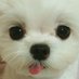 강미냐 (@miniyakk) Twitter profile photo 강미냐 (@miniyakk) Twitter profile photo