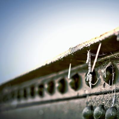 peter_suli's profile picture. 