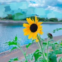 TS (@ts_slo___w_life) 's Twitter Profile Photo