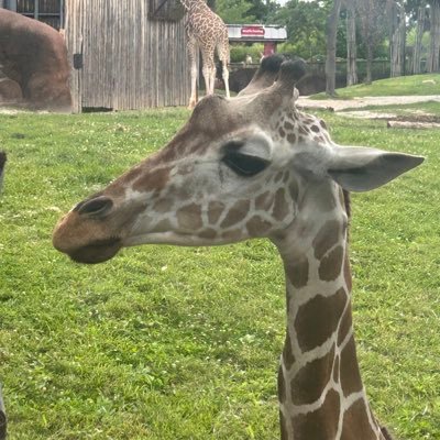 CryptoEutectic's profile picture. 