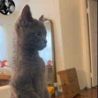 Suchy (@suchycm) Twitter profile photo