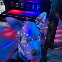 Pup Trumpet (@puptrumpet) 's Twitter Profile