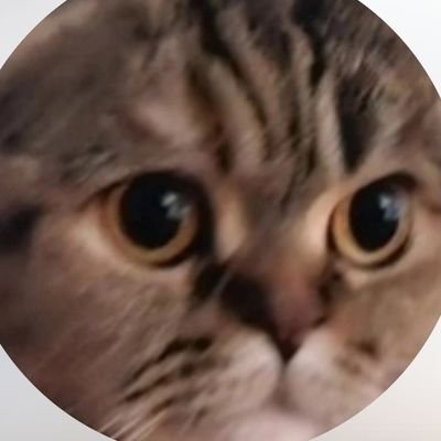 동그리さんのプロフィール画像