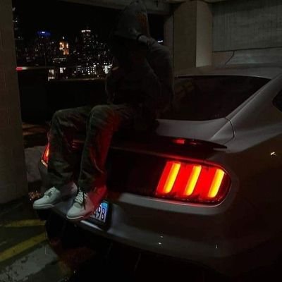 Trevol3169's profile picture. 