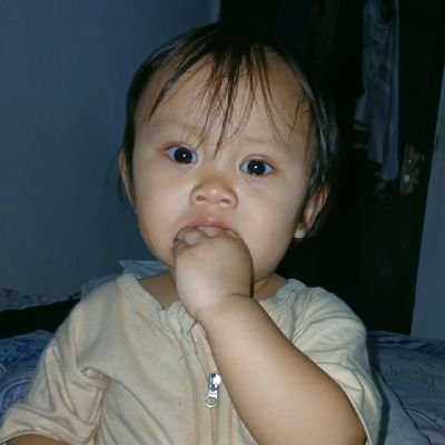 paltoism's profile picture. Fatum Brutum Amor Fati