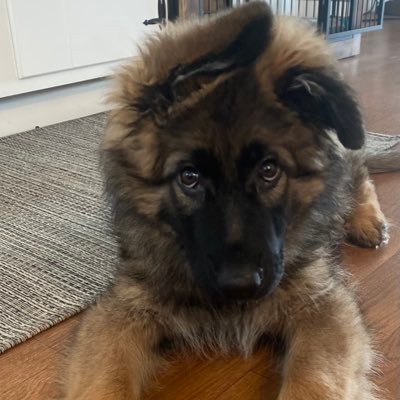 mich60590's profile picture. 