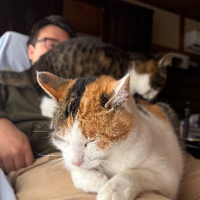 gamiteck010's profile picture. フリーランスエンジニア/プログラミング講師/Java/Three.js