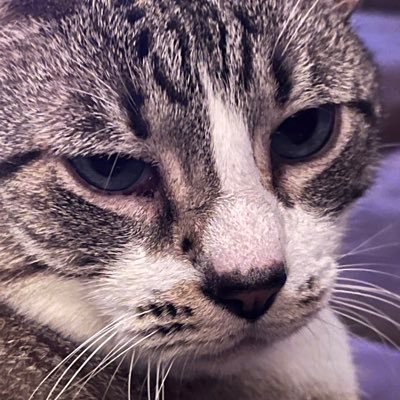 user9383648595's profile picture. 